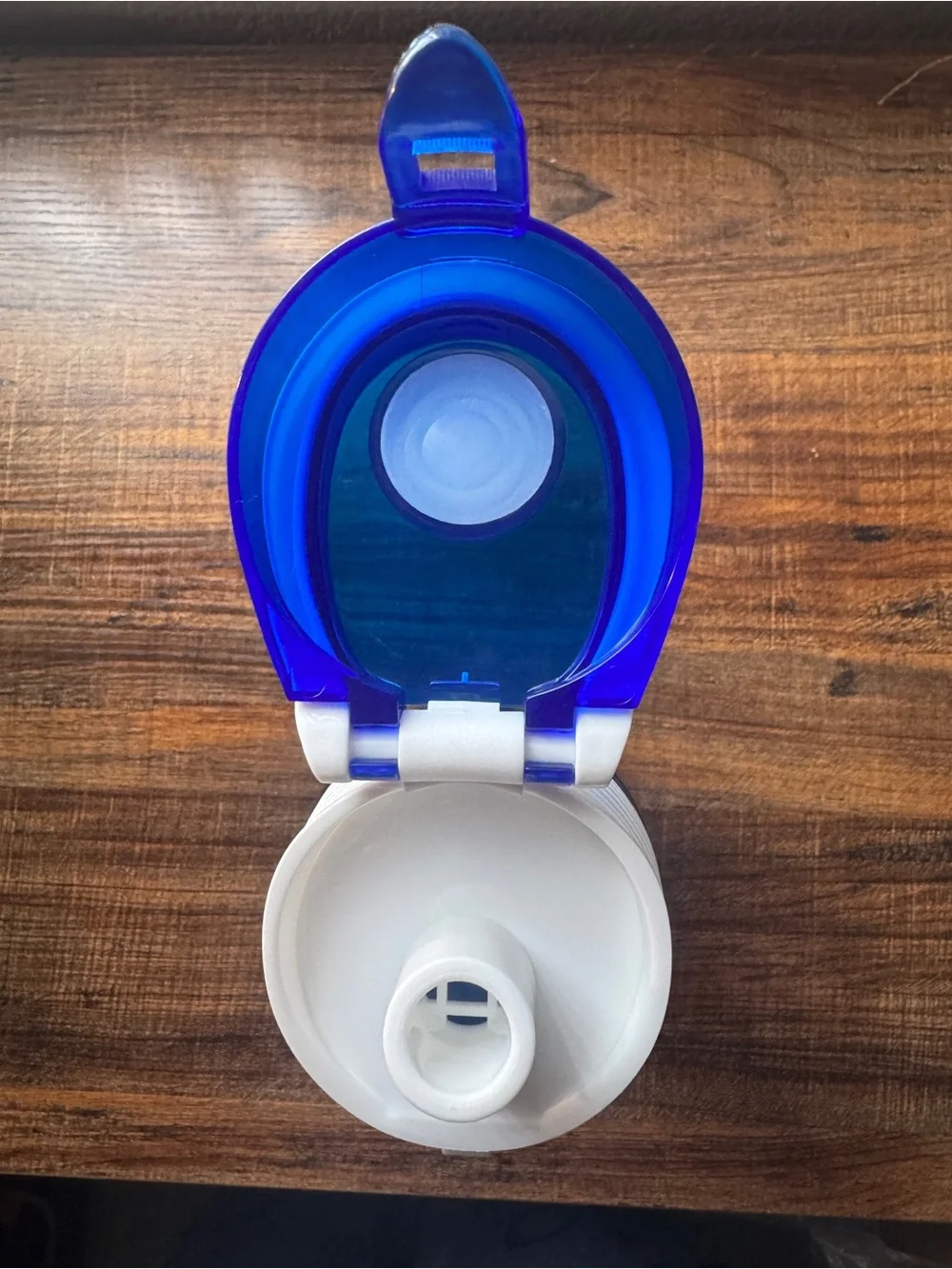 Blue Fruit Infuser Water Bottle New32 oz - Flip Top Lid with Locking Latch & Fil